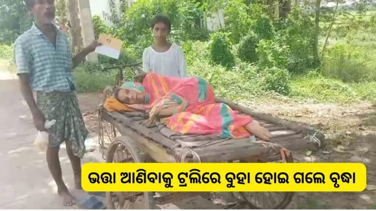 WhatsApp Image 2025-08-26 at 6.30.20 PM