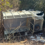 ୧୦ଫୁଟ୍ ତଳକୁ ଖସିଲା ଭ୍ୟାନ୍, ୧୭ଆହତ |