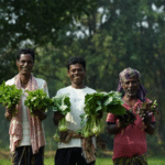 ରିଲାଏନ୍ସ ଫାଉଣ୍ଡେସନ ସହାୟତାରେ ଢେଙ୍କାନାଳର ସୋରଟ ଗାଁରେ ୨୦ ବର୍ଷ ପରେ ପୁଣି ଚାଷ ଆରମ୍ଭ