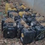 କଟକ ଜିଲ୍ଲାରେ ଅବକାରୀ ବିଭାଗର ଘନ ଘନ ଚଢ଼ାଉ, ବିପୁଳ ପରିମାଣର ମାଦକ ଦ୍ରବ୍ୟ ଜବତ ।