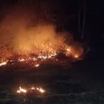 ପୋଡୁ ଓ ମକା ଚାଷ ପାଇଁ ଜଙ୍ଗଲରେ ଲଗାଯାଉଛି ନିଆଁ |