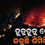 ହୁତୁହୁତୁ ହୋଇ ଜଳୁଛି ଶିମିଳିପାଳ: ସଙ୍କଟରେ ବନ୍ୟଜନ୍ତୁ