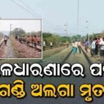 ଗ୍ରାମବାସୀଙ୍କୁ ଦେଇଥିବା ପ୍ରତିଶ୍ରୁତି ପାଳନ କଲେ ଜିଲାପାଳ, ନଦୀ ଉପରେ ହେବ…