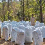 କନ୍ଧମାଳ ପୋଲିସର ବଡ଼ କାର୍ଯ୍ୟାନୁଷ୍ଠାନ; ଦୁଇ ଦିନରେ ୩୦ କୋଟିରୁ ଅଧିକ ଗଞ୍ଜେଇ ଜବତ