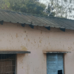 ଗୋଷ୍ଠୀ ସ୍ୱାସ୍ଥ୍ୟ କେନ୍ଦ୍ରର ସରକାରୀ କ୍ୱାଟର ଗୁଡିକ ଭୁତକୋଠି ପାଲଟିଗଲାଣି : ମରାମତି ପାଇଁ ଦାବୀ