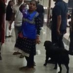 ଭୁବନେଶ୍ୱର କୋର୍ଟକୁ ବୋମା ଧମକ, ଇ-ମେଲ୍ ପରେ ପୋଲିସର ତନାଘନା