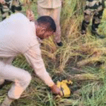 ଏଲଓସି ନିକଟରୁ ଜବତ ହେଲା ୮ କୋଟିର ହେରୋଇନ |