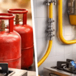 ଏଲପିଜି ନିୟନ୍ତ୍ରଣ ଆଦେଶ ପିଏନଜି ସଂଯୋଗ ଥିବା ଉପଭୋକ୍ତାଙ୍କ ଦ୍ୱାରା ଏଲପିଜି ସଂଯୋଗ ତ୍ୟାଗକୁ ବାଧ୍ୟତାମୂଳକ କରିଛି  |