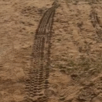 ପ୍ରୋଗ୍ରେସିଭ୍ କ୍ଲବ କ୍ରିକେଟ୍ ମାଇଦାନରେ ଭଙ୍ଗାରୁଜା, ଥାନାରେ ଏତଲା |