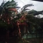 ଚାନ୍ଦବାଲିରେ କାଳବୈଶାଖୀର ତାଣ୍ଡବ