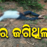 ଭୋଜି ଖାଇ ଫେରୁଥିଲେ, ବାଟରେ ଜଗିଥିଲା ମୃତ୍ୟୁ: ଘାଟିରେ ବାଇକ୍ ଦୁର୍ଘଟଣାଗ୍ରସ୍ତ, ବଡ଼ ଭାଇ ମୃତ, ସାନ ଭାଇ…