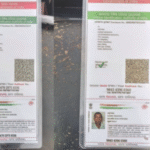 ସମ୍ପର୍କୀୟଙ୍କ ବିବାହ ଉତ୍ସବକୁ ଯାଉଥିଲେ ଦମ୍ପତି, ବାଇକ ଧକ୍କାରେ ଚାଲିଗଲା ଜୀବନ