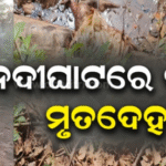 ବାଗଝୋଲା ନଦୀଘାଟରୁ ଗଳିତ ମୃତଦେହ ଜବତ, ହତ୍ୟା ପରେ ଆଳୁ ବସ୍ତାରେ ଭର୍ତ୍ତି କରି ଫିଙ୍ଗିଥିବା ସନ୍ଦେହ