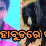 ଭାଲୁ ନେଲା ଜୀବନ