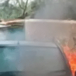 ରାସ୍ତା ମଝିରେ ଜଳିଗଲା କାର |