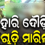 ସଂଘାପଶି ଗ୍ରାମରେ ହାତୀ ଆତଙ୍କ: ଯୁବକଙ୍କୁ ମାରିବା ପରେ ମୃତଦେହ ଜଗି ରହିଛନ୍ତି ୧୮ ହାତୀ !