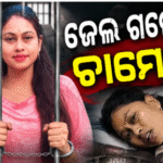 ଜେଲ ଗଲେ ସରପଞ୍ଚ ଚାମେଲି ଓଝା