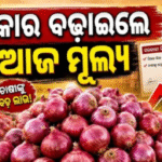 ପିଆଜ କ୍ରୟ ମୂଲ୍ୟରେ ୧୩ ପ୍ରତିଶତ ବୃଦ୍ଧି; ଗ୍ରାହକ ଓ କୃଷକଙ୍କ ଉପରେ କ’ଣ ରହିବ ପ୍ରଭାବ ?