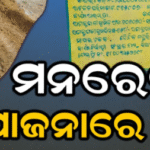 ବୋରପଦର ଗ୍ରାମ ପଞ୍ଚାୟତରେ ମନରେଗା ଦୁର୍ନୀତି ଅଭିଯୋଗ, ଜିଲାପାଳଙ୍କୁ ଫେରାଦ ହେଲେ ଗ୍ରାମବାସୀ