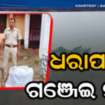 ଗଞ୍ଜେଇ ଚୋରା ଚାଲାଣର ସାମ୍ରାଜ୍ୟ ଚଳାଇଥିଲେ, ୨ ଯୁବକଙ୍କୁ ଧରି..