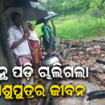 ଲଗାଣ ବର୍ଷା ଯୋଗୁ ଭୁଶୁଡ଼ି ପଡ଼ିଲା ମାଟି କାନ୍ଥ, ଚାଲିଗଲା ୩ ବର୍ଷର ଶିଶୁପୁତ୍ର ଜୀବନ,ଶୋକାକୂଳ…