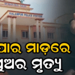 ଘରୋଇ କଳିର କରୁଣ ପରିଣତି, ବାପର କାଠ ଫାଳିଆ ମାଡ଼ରେ ପୁଅର ମୃତ୍ୟୁ