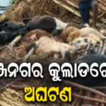 ଭଞ୍ଜନଗରରେ ପ୍ରବଳ ବର୍ଷା: ଜନଜୀବନ ଅସ୍ତବ୍ୟସ୍ତ, କୁଲାଡରେ ଗୁହାଳ ଘର ଭୁଶୁଡ଼ି ୧୫ରୁ ଅଧିକ ଛେଳି ମୃତ