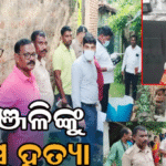 ଘରେ ପଶି ଗୀତାଞ୍ଜଳିଙ୍କୁ ହତ୍ୟା କଲେ ଦୁର୍ବୃତ୍ତ, ବିବାହ ନ କରି ରହୁଥିଲେ ଏକାକୀ, ଗାଁରେ ପଡ଼ିଛି ଚହଳ…
