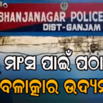 ଭଞ୍ଜନଗରରେ ଚାଞ୍ଚଲ୍ୟ: ୪ ବର୍ଷର ଶିଶୁକନ୍ୟାକୁ ବଳାତ୍କାର ଉଦ୍ୟମ, ଅଭିଯୁକ୍ତ ବାପାଙ୍କୁ ମାଂସ ପାଇଁ ପଠାଇ ଝିଅକୁ…