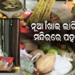 ନୂଆଁଖାଇ ଲାଗି ପାଟଣେଶ୍ୱରୀ ମନ୍ଦିରରେ ପହଞ୍ଚିଲା ନୂଆ ଧାନ |