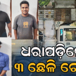 ପିକ୍‌ଅପ୍‌ରେ ଚାଲାଣ ହେଉଥିଲେ ୭୫ ଛେଳି, ମାଡ଼ି ବସିଲା ପୋଲିସ