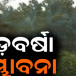 ୫୫ରୁ ୬୫ କିମି ବେଗରେ ବହିବ ପବନ: ଆଲର୍ଟ ରହିବାକୁ ନିର୍ଦ୍ଦେଶ